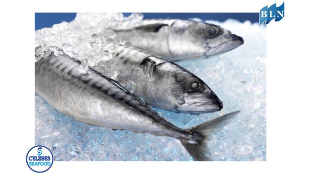 Quality Standards and Food Safety for Frozen Mackerel Products
